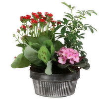 Planter - Vertical Lines Pot With Plants 8 Inch, 1 Each