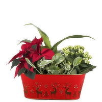 Reindeer - Reindeer Planter 11 Inch, 1 Each