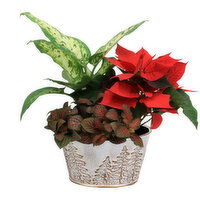 Christmas - Tree Planter 7 Inch, 1 Each