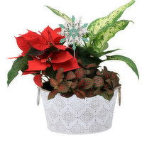 Planter - Holiday Mix 7 Inch, 1 Each