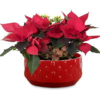 Planter - Scarlett Pot 8 Inch, 1 Each