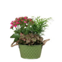 Save-On-Foods - Embossed Planter 7 Inch, 1 Each