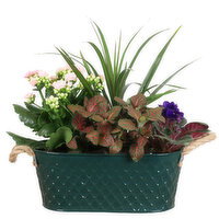 Save-On-Foods - Embossed Oval Planter 6x11, 1 Each