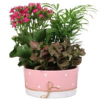 Burnaby Lake Floral - Jute Bow Planter 7 Inch, 1 Each