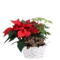 Poinsettia - Gold Embossed Stars Planter, 7 Inch, 1 Each