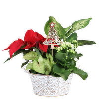 Save-On-Foods - Embossed Stars Planter, 8 Inch, 1 Each