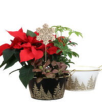 Save-On-Foods - Gold Tree Planter, 7 Inch, 1 Each