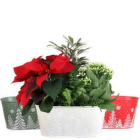 Save-On-Foods - Snowfall Planter, 6 X 11Inch, 1 Each