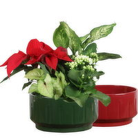 Save-On-Foods - Monet, 8 Inch, 1 Each