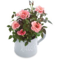 Mini Roses - Live or Laugh - Ceramic Mug 4inch, 1 Each