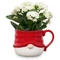 Christmas Gnome Mug - Assorted Flowers, 4 inch, 1 Each