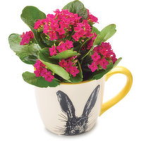 Bunny - Ceramic Mug 2.5in, 1 Each