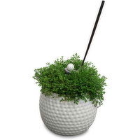 Golf - Ball Planter, 1 Each