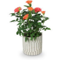 Embossed - Cement Pot 4In, 1 Each