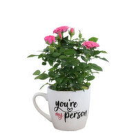 Potted Plants - My Person Mug 4 Inch, 1 Each