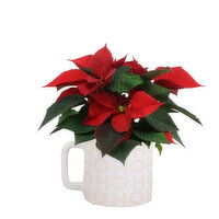 Ho Ho Ho Mug - Poinsettia Plant 4in, 1 Each