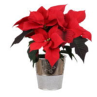 Save-On-Foods - Silver Snowflake Pot, 4 Inch, 1 Each