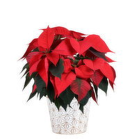 Save-On-Foods - Gold Embossed Stars Pot, 6 Inch, 1 Each