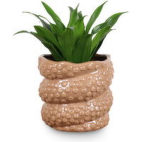 Tropical - With Octopus Tentacle Pot, 4 Inch, 1 Each