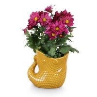 Save-On-Foods - Ceramic Fish Pot, 4 Inch, 1 Each