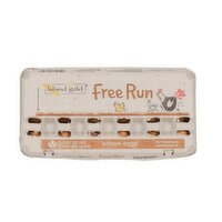 Island Gold - Free Run Brown Eggs, Large Size, 18 Each