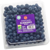 Western Family - Blueberries, Fresh