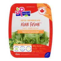 Up Vertical - Asian Fusion Salad Kit, 184 Gram