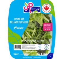 Up Vertical Farms - Up & Away Spring Mix, 127 Gram