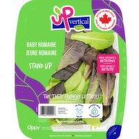 Up Vertical Farms - Stand Up Baby Romaine Salad, 127 Gram