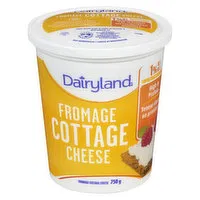 Dairyland - Cottage Cheese 1% M.F. Light, 750 Gram