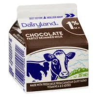 Dairyland - Chocolate Milk 1% M.F., 237 Millilitre