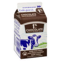 Dairyland - Chocolate Milk 1% Partly Skimmed