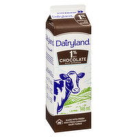 Dairyland - Chocolate Milk Beverage 1% M.F., 946 Millilitre