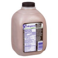 Dairyland - Chocolate Milk 1%  Skim, 1 Litre