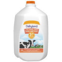 Dairyland - Lactose Free Homogenized 3.25% Milk, 4 Litre