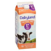 Dairyland - Lactose Free Milk 1% M.F., 1.89 Litre