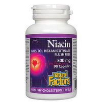 Natural Factors - Niacin Inositol Hexanicotinate 500mg Flush Free, 90 Each