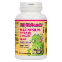 Natural Factors - Big Friends Magnesium Citrate Chewable Bubble Gum, 60 Each