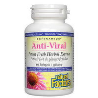 Natural Factors - Echinamide Anti Viral Potent Fresh Herbal Extract, 60 Each