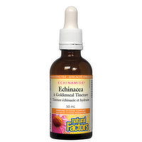 Natural Factors - Echinamide Echinacea & Goldenseal Tincture, 50 Millilitre