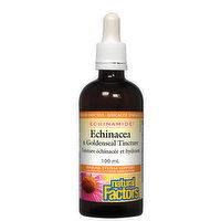 Natural Factors - Echinamide Echinacea & Goldenseal Tincture, 100 Millilitre