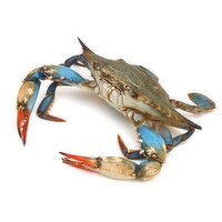 Blue Crab - Live, 150 Gram