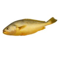 Yellow Croaker - Frozen, 500 Gram