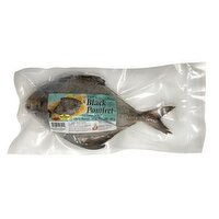 Smart Choice - Frozen Black Pomfret, 500 Gram