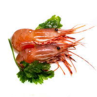 Prawn - Spot Whole Fresh BC, 1 Kilogram