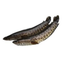 Frozen - China Snakehead Gutted, 700 Gram