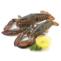 Lobster - ail 3 oz to 4 oz