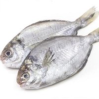 Fresh - Pompano, 1 Pound