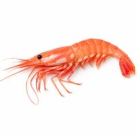 Fresh - Spot Prawn, 1 Pound