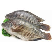 Frozen - Tilapia-Cleaned, 600 Gram